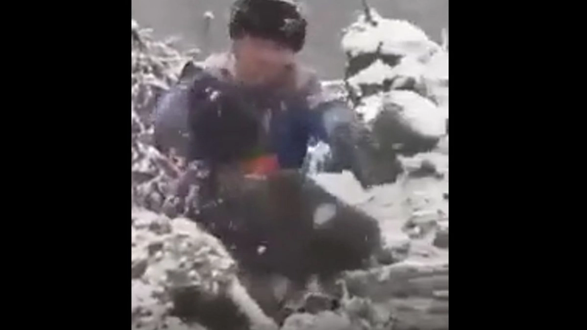 Patru pui de urs, scoşi din bârlog şi aruncaţi în zăpadă. Trei indivizi se amuză copios în loc să sune la 112  - VIDEO