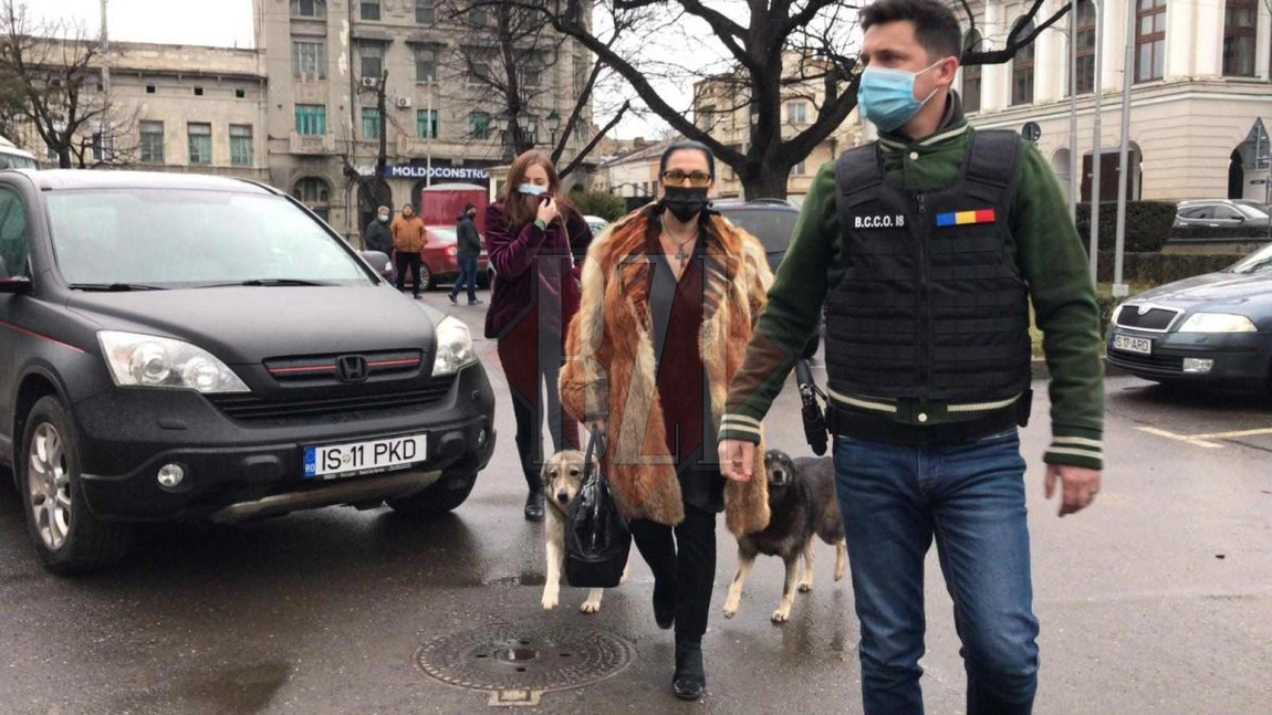 Scandalul deceniului la Iași! Un raport devastator, făcut de autoritățile centrale, scoate la iveală nereguli grosolane și un prejudiciu de peste 2 milioane de euro (EXCLUSIV)