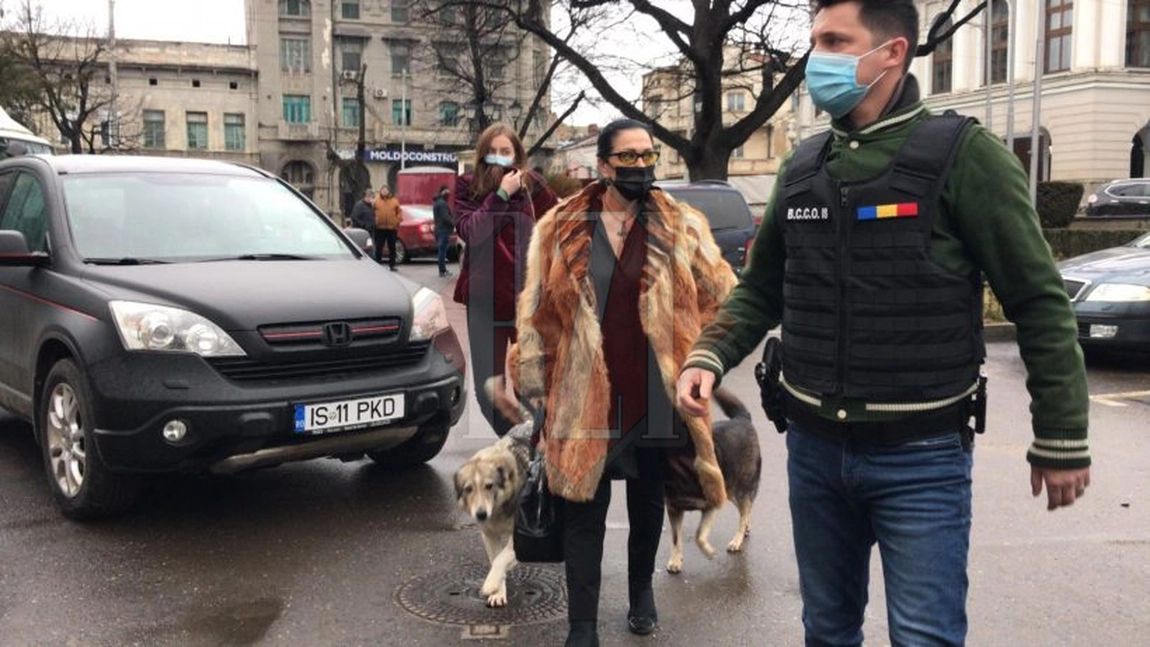 Iată ce spun procurorii în cazul descinderilor de la Opera Națională Română din Iași. Prejudiciul este de 5 milioane lei