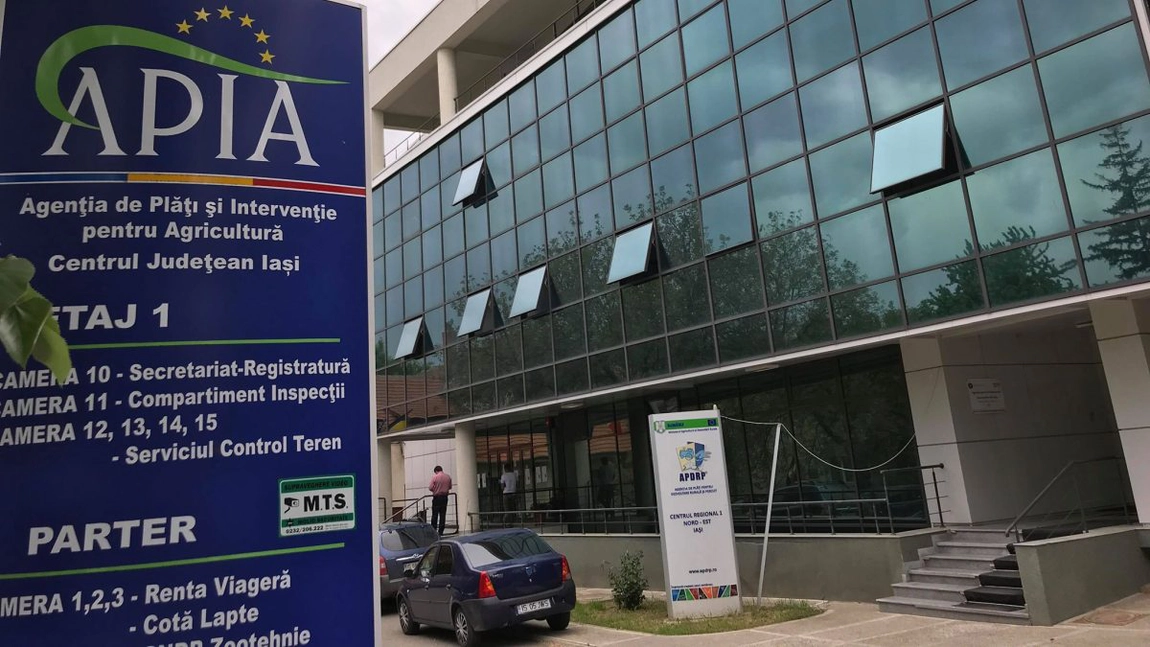 Ieșenii din diaspora, care s-au întors în țară, depun proiecte pentru accesarea de fonduri europene