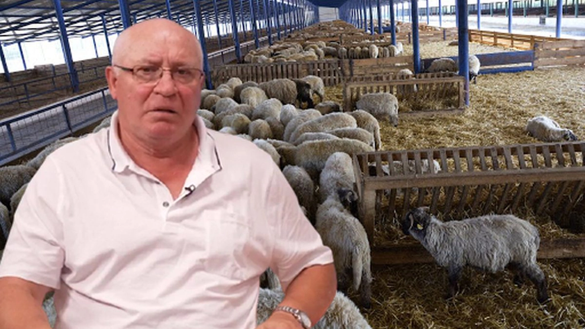 Carnea de miel se vinde mai scump anul acesta. Crescătorii au renunțat la creșterea oilor pentru că nu mai este rentabil. Fermier: 