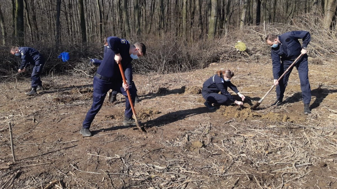 Jandarmeria Română a sărbătorit împlinirea a 171 de ani de la înființare prin plantarea a 171 de stejari - FOTO