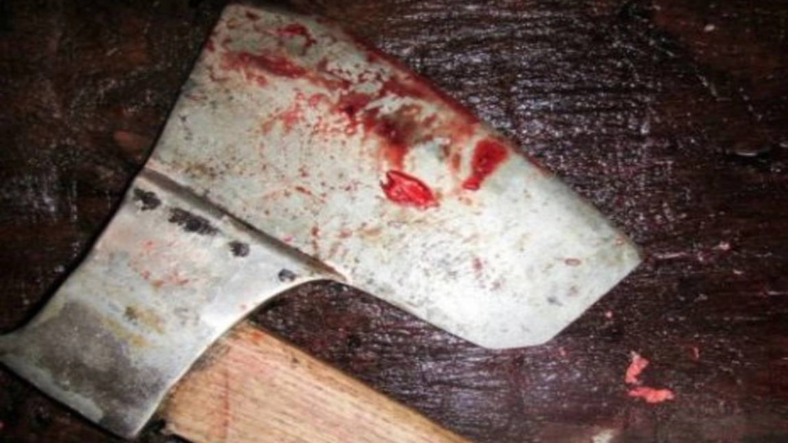Un puști de 17 ani, acuzat că a ucis un pădurar, pedepsit de judecătorii ieșeni! Minorul trebuie să achite daune colosale către rudele victimei!