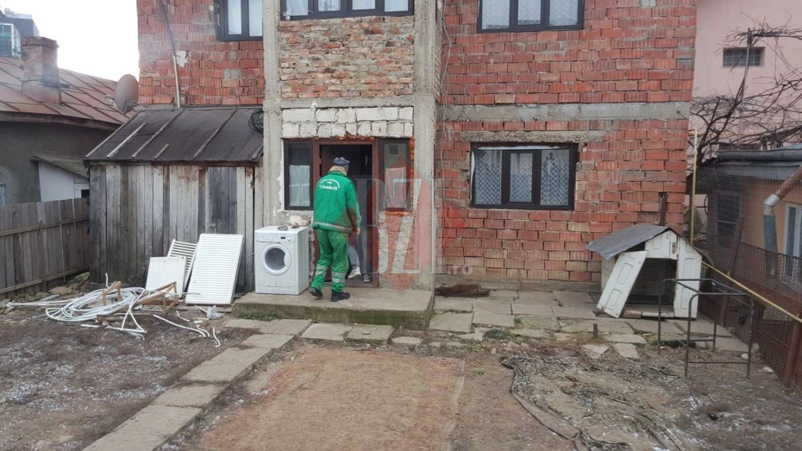 Doi câini de luptă au fost confiscați la Iași după un atac de stradă fără precedent! Stăpâna lor are de plătit o mică avere pentru animalele antrenate să ucidă! GALERIE FOTO / VIDEO (Exclusiv)