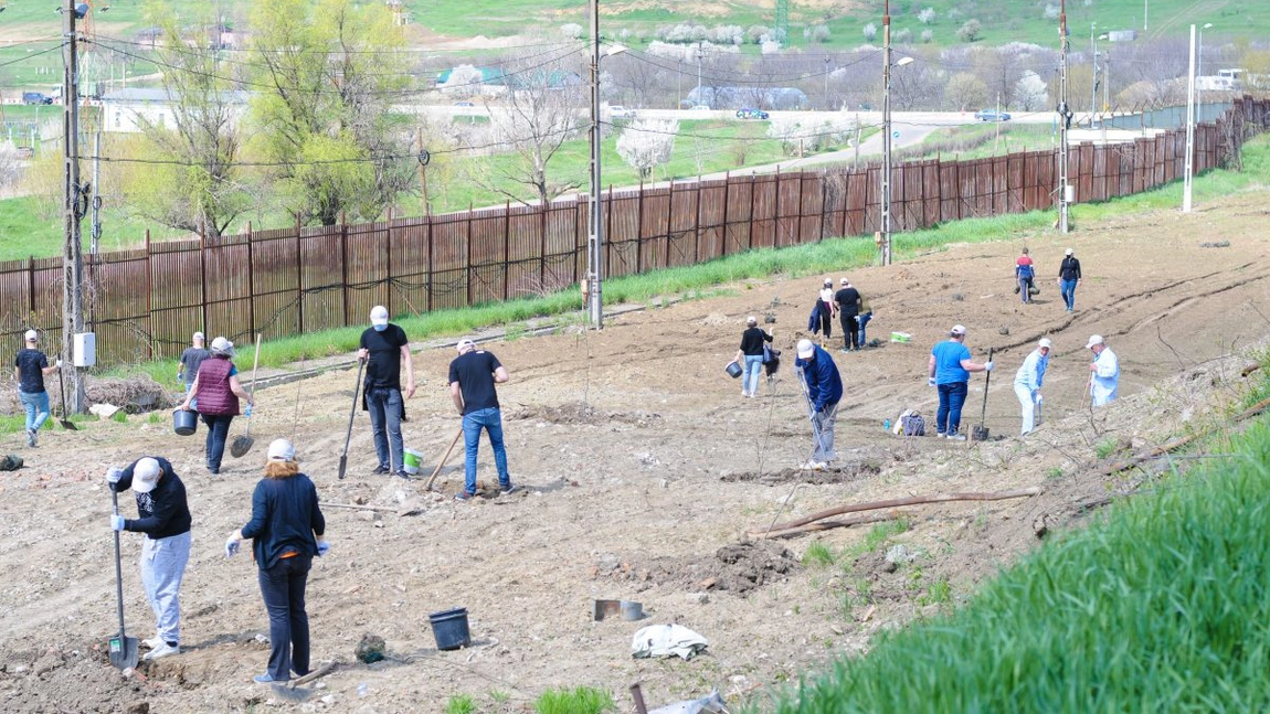 Voluntarii Antibiotice au sărbătorit “Ziua Pământului” plantând oxigen în comunitate
