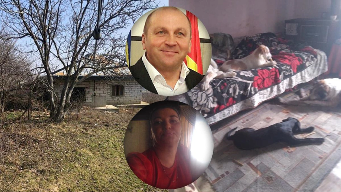 Femeia care trăiește alături de 55 de animale va primi o nouă casă, fără prea mulți vecini! Elena Surubariu va putea trăi liniștită lângă cei 36 de câini și 19 pisici