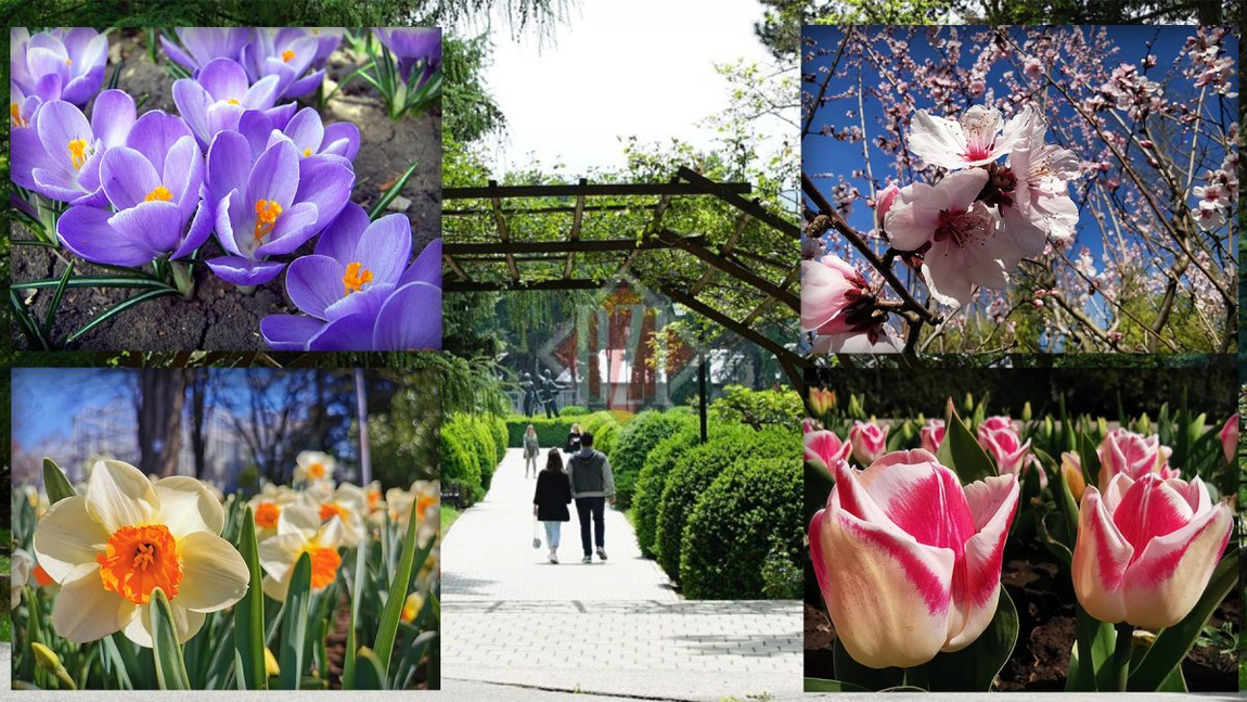 Acestea sunt ultimele transformări din Grădina Botanică din Iași! Totul este surprins în secvențe și imagini spectaculoase de colecție - GALERIE FOTO EXCLUSIV