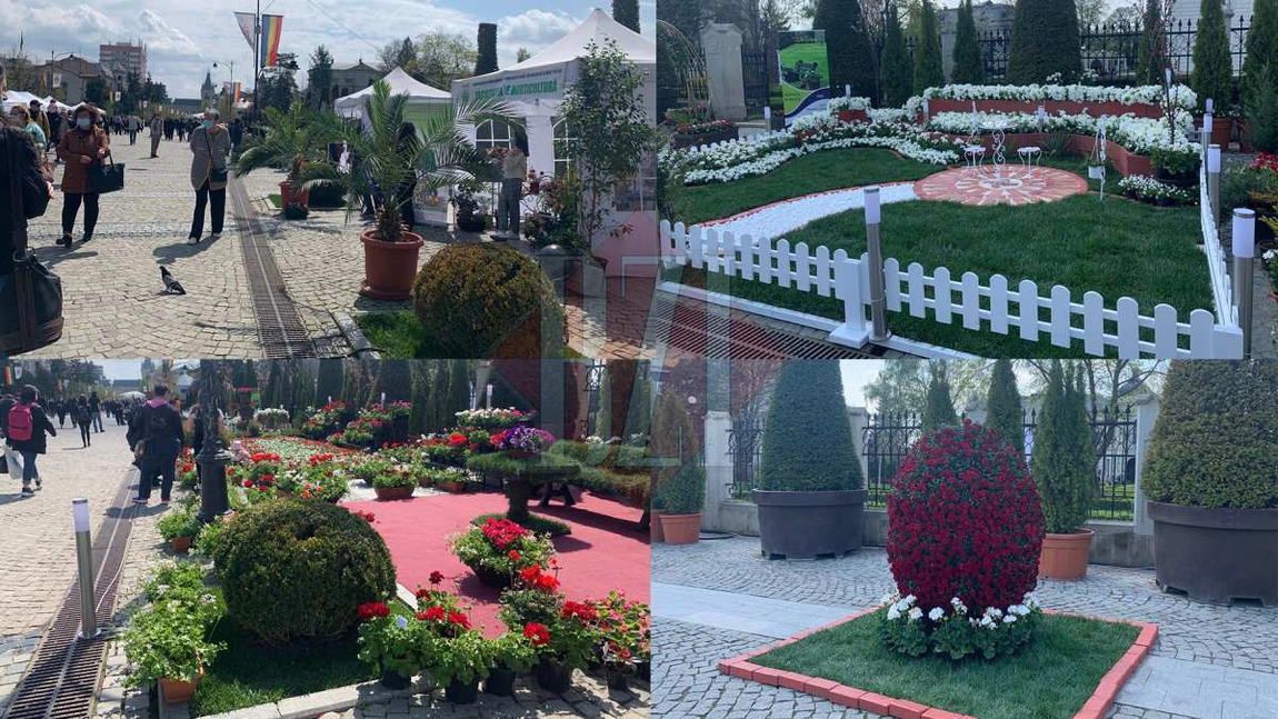 Sute de ieșeni au participat la Sărbătoarea Florilor! 11 angajați de la Servicii Publice au realizat ornamente speciale. Principalul punct de atracție, o decorațiune creată din gazon - FOTO