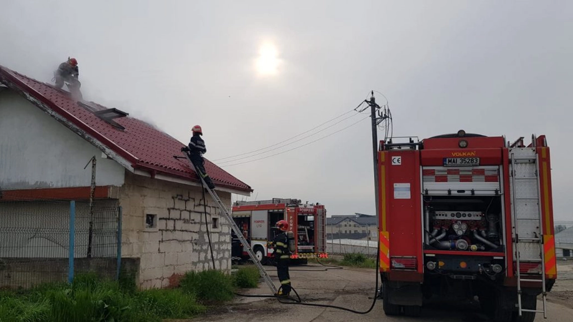 Incendiu în Valea Lupului din Iași! Pompierii intervin în forță pentru a lichida focul - EXCLUSIV/ FOTO