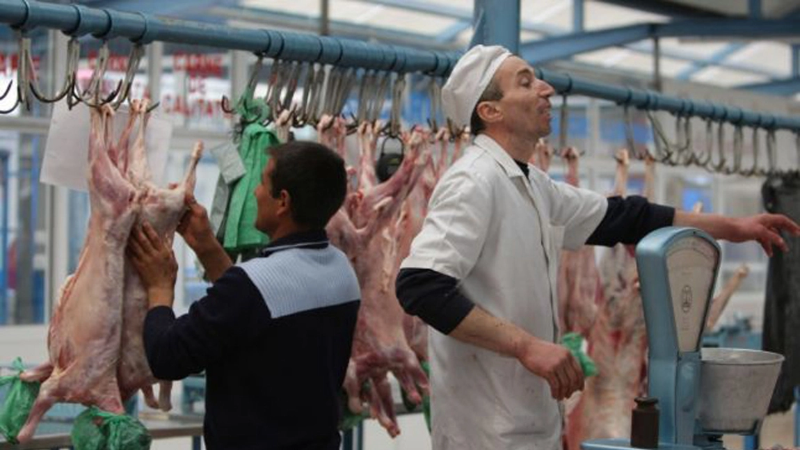 Cum faci diferența între carne de miel și carne de câine