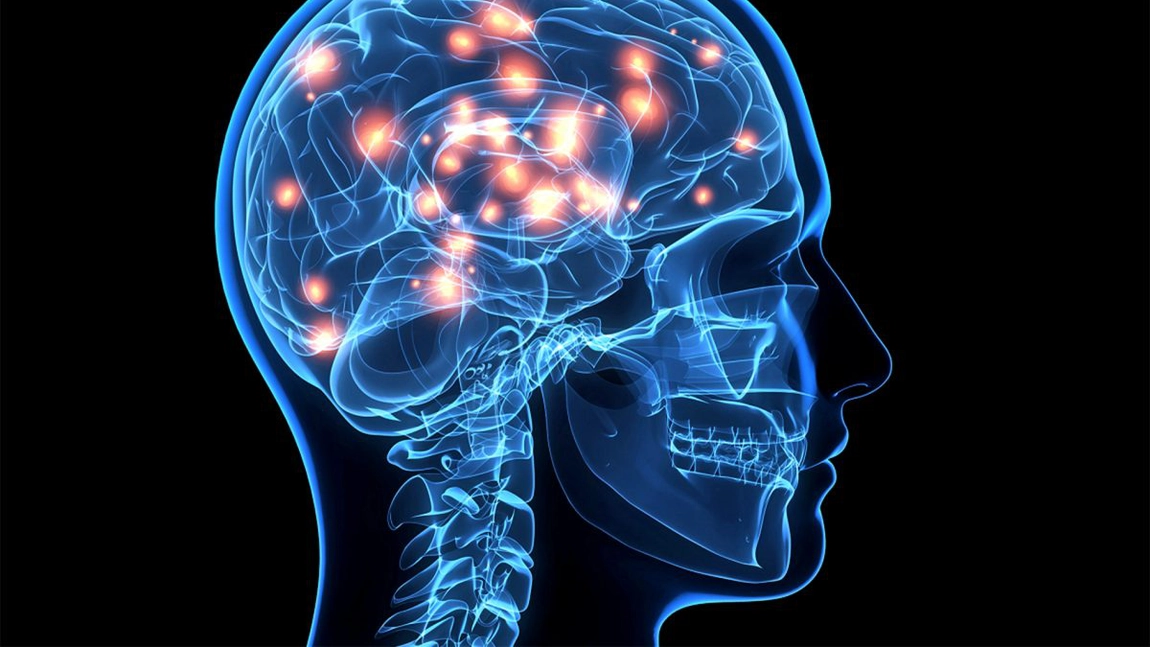 Cele mai bune alimente pentru neuronii tăi