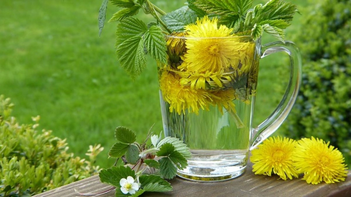 Ce plante elimina acidul uric? 11 remedii naturale pentru guta