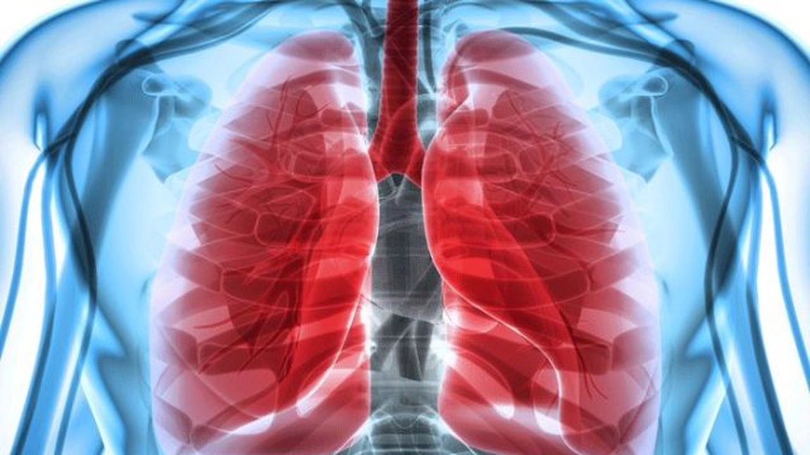 Leacuri bătrânești pentru plămâni. Cum să-ți cureți sistemul respirator, în mod natural