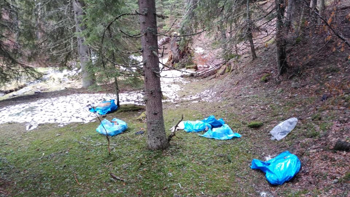 Cadavrele a zeci de câini au fost găsite de oamenii legii! Erau abandonaţi în saci de plastic lângă o râpă - GALERIE FOTO