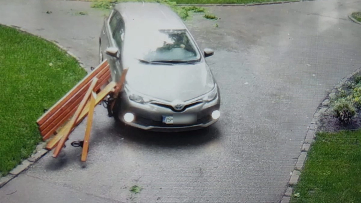 Un şofer a intrat cu maşina într-o bancă din Grădina Botanică! S-a ales cu o amendă