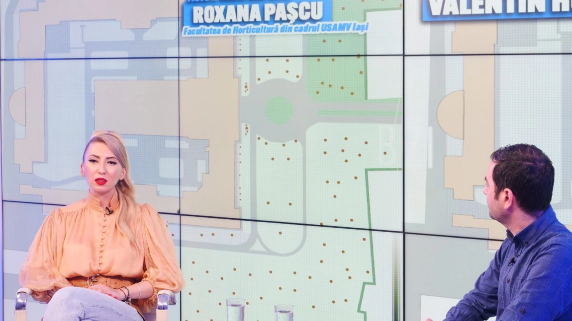 Reprezentant al USAMV Iași a discutat despre proiectare și design peisager, transformarea totală a unei suprafețe uriașe de teren, amenajarea spațiului natural dintr-o zonă selectă a Iașului, dar și despre arboricultură ornamentală, în Studioul BZI LIVE - FOTO, VIDEO