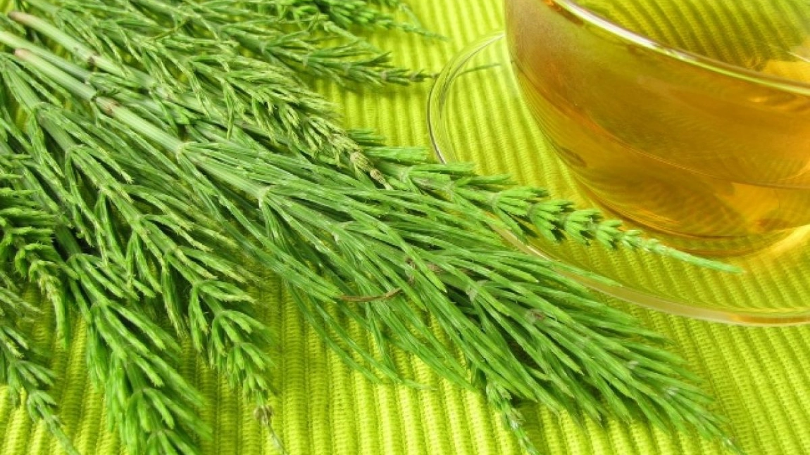 3 ceaiuri din plante care elimina acidul uric