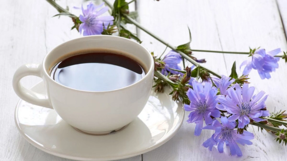 Cicoare și cafea: care sunt diferențele
