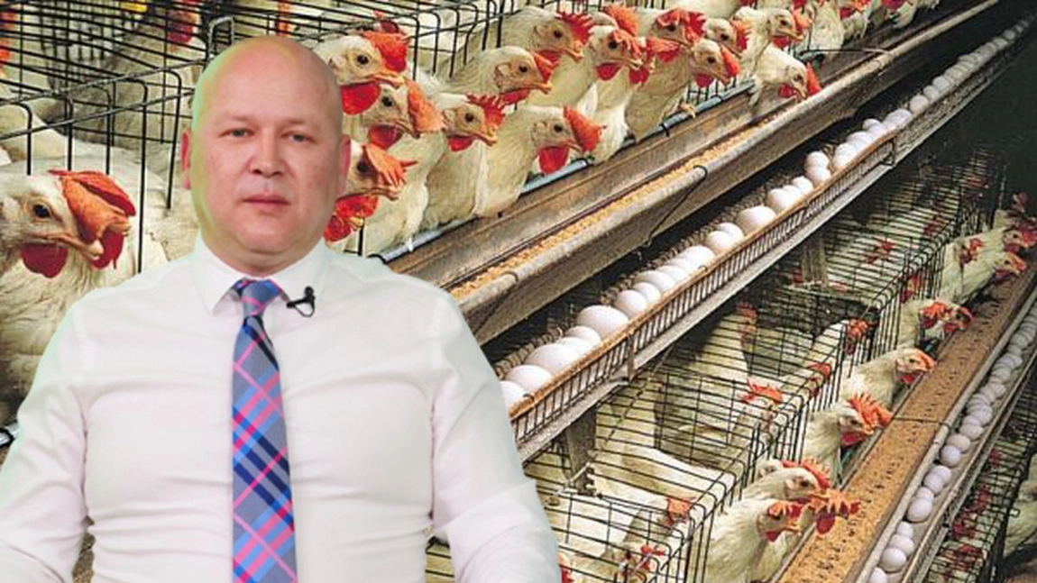 DSVSA Iași aplică mai multe măsuri împotriva gripei aviare. Specialist: 