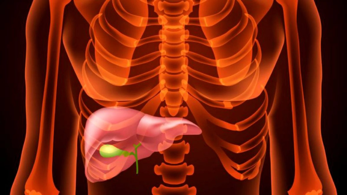 Simptomele unui ficat intoxicat: recunoasterea simptomelor timpurii ale bolilor hepatice