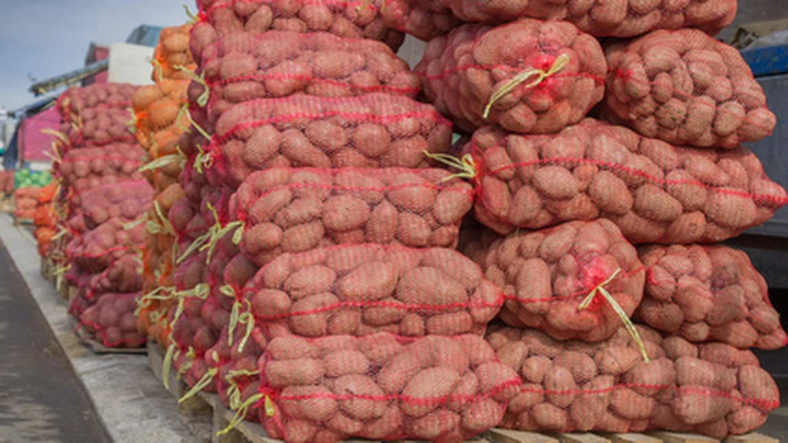 Metoda de păstrare a cartofilor care poate fi fatală! O familie întreagă a murit în Rusia