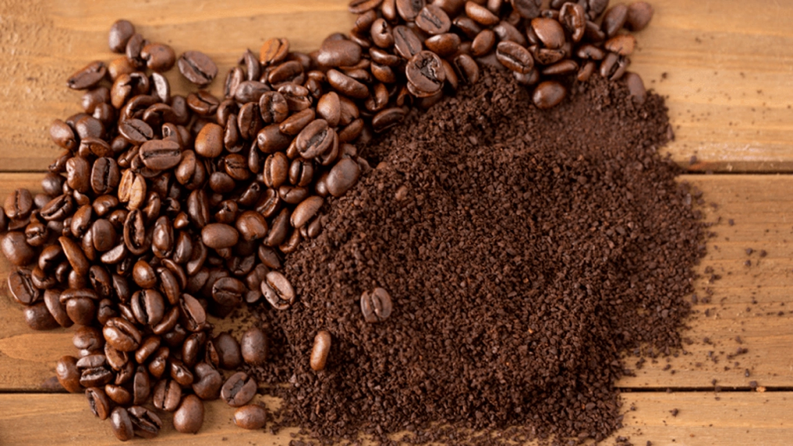 Îngrăşământ bun pentru flori: zaț de cafea. Fără substanţe chimice