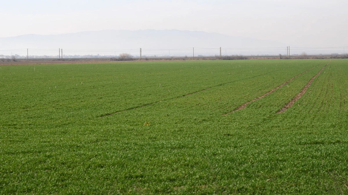Impact Developer & Contractor achiziționează în Iași un teren de 2,6 hectare pe Dealul Copou