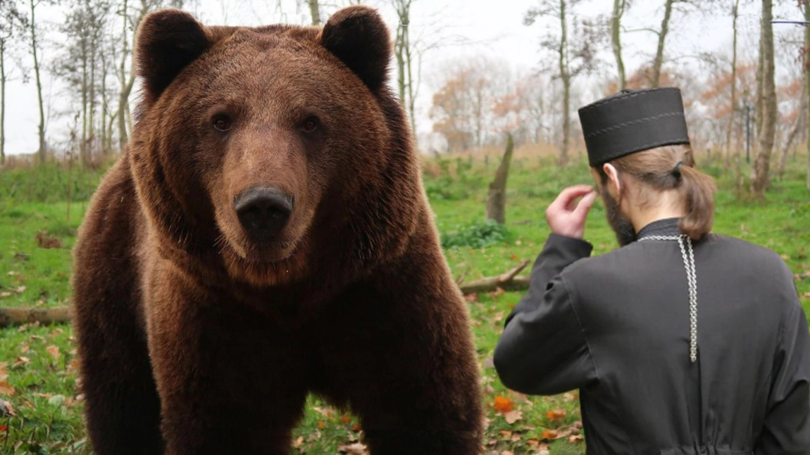 Luptă pentru supraviețuire la Spitalul de Boli Infecțioase din Iași! Un călugăr care a plecat după ciuperci în pădure a găsit un pui de urs, iar când l-a luat în brațe, a fost atacat de ursoaică. A scăpat ca prin minune din ghearele fiarei (Exclusiv)