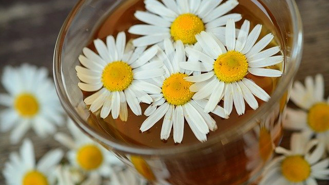 Ceaiuri pentru afte bucale: Ajutor primti de la natură