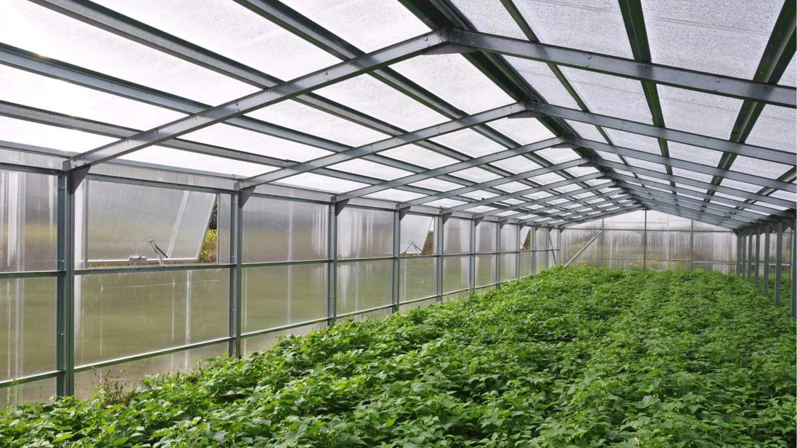 Ieșenii care cultivă produsele agricole ecologice, promovați de Direcția Agricolă și Asociația Rural Development Research Platform! Proiectul este derulat în perioada 2021-2023!