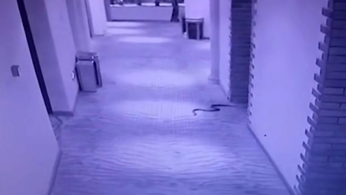O femeie a fost violată într-un hotel din Cluj! Violatorul nu era cazat dar a văzut ușa deschisă la cameră şi a intrat
