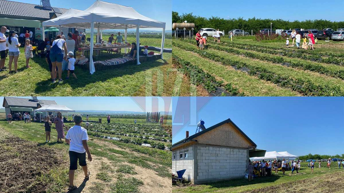 O întâmplare inedită! Un tânăr din Iași a reușit duminică să-și umple curtea de străini curioși: 