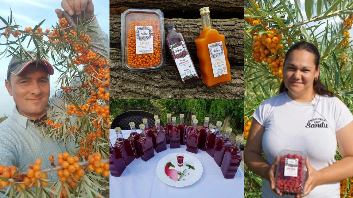 O familie din Iași a investit zeci de mii de euro într-o afacere de succes. Cătina BIO pare să fie un deliciu sănătos la mare căutare