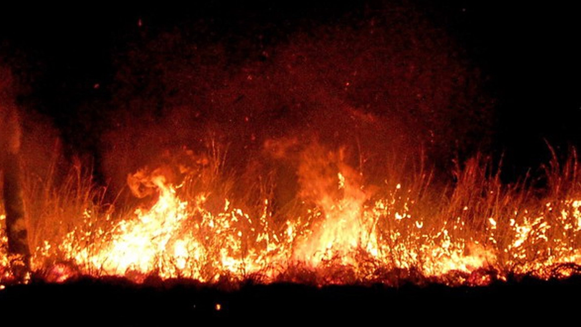 Incendiu de vegetație în Corbeanca! Pompierii au intervenit de urgență - UPDATE