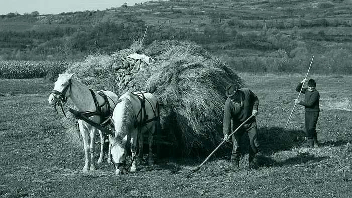 Motivele pentru care bunicii noștri duceau un trai sănătos, fără boli și trăiau mai mult