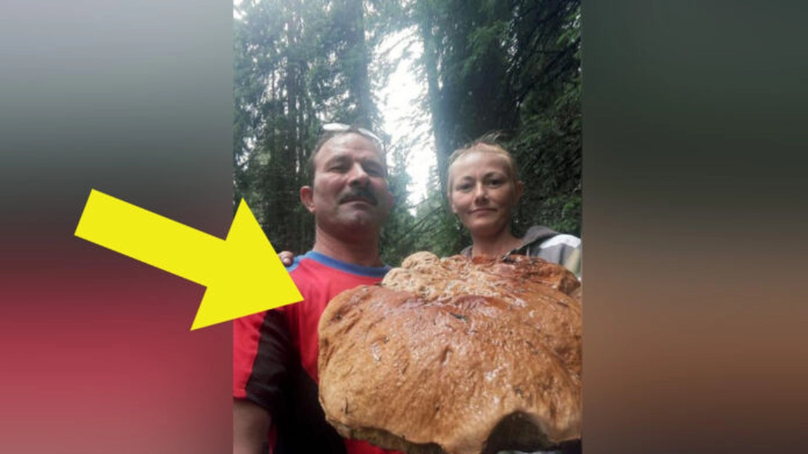 Viorel a găsit o ciupercă uriaşă pe Transfagarasan. Ce era, de fapt: a aruncat-o imediat