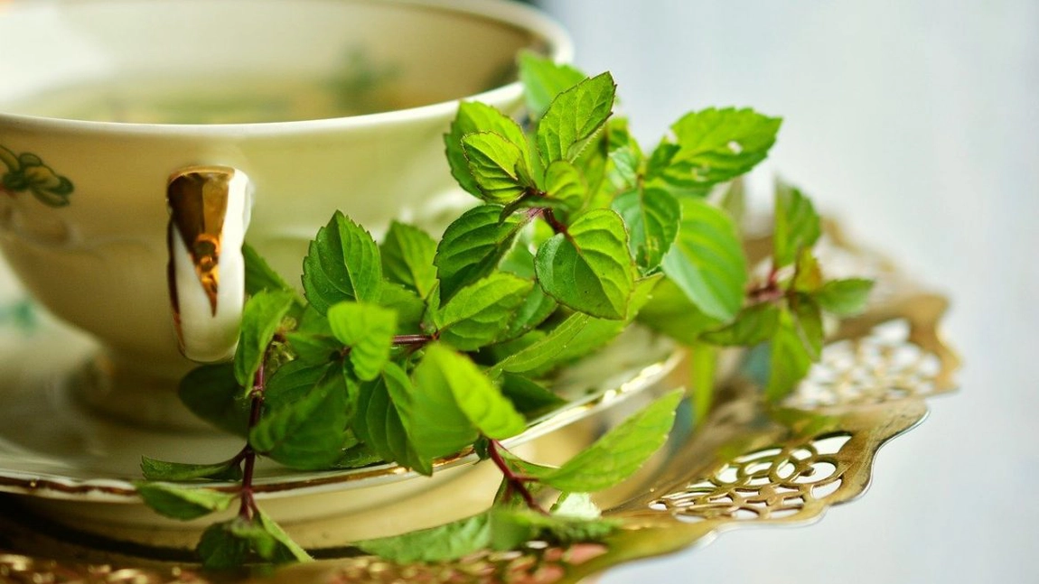 8 plante de leac care să nu-ţi lipsească din grădină