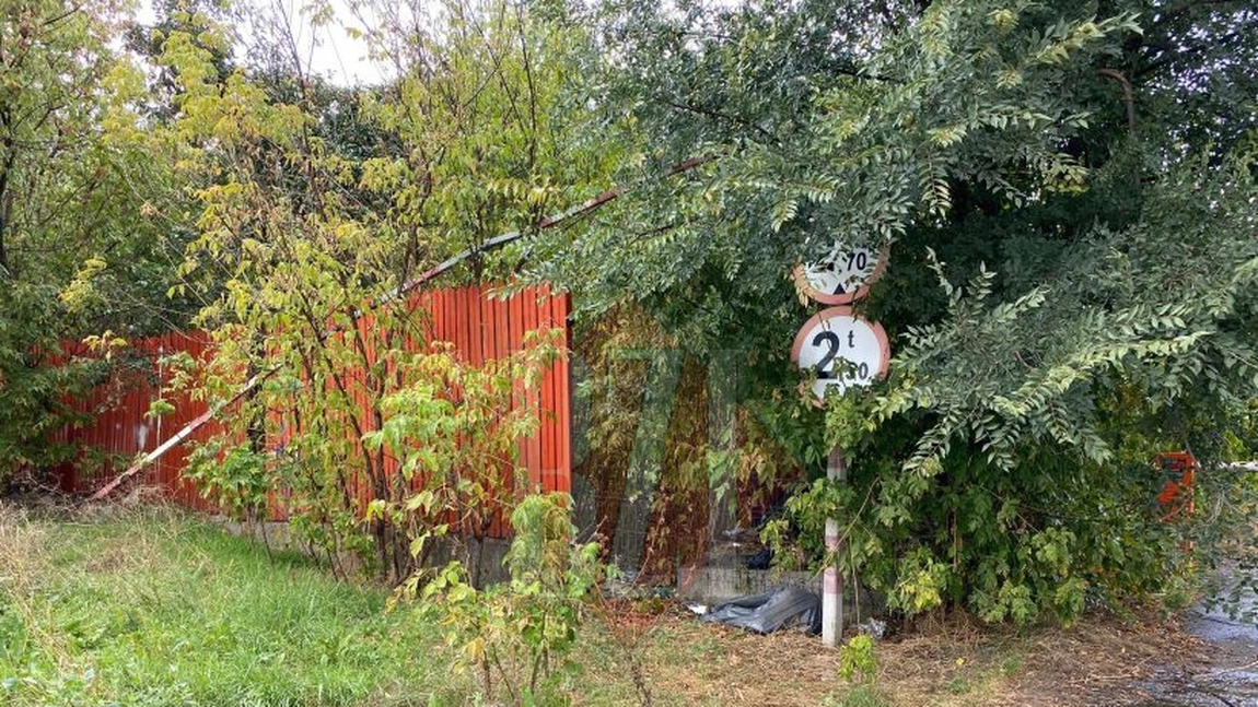 O vacă a căzut într-un canal. Pompierii ISU Iaşi intervin pentru a salva animalul - UPDATE, FOTO