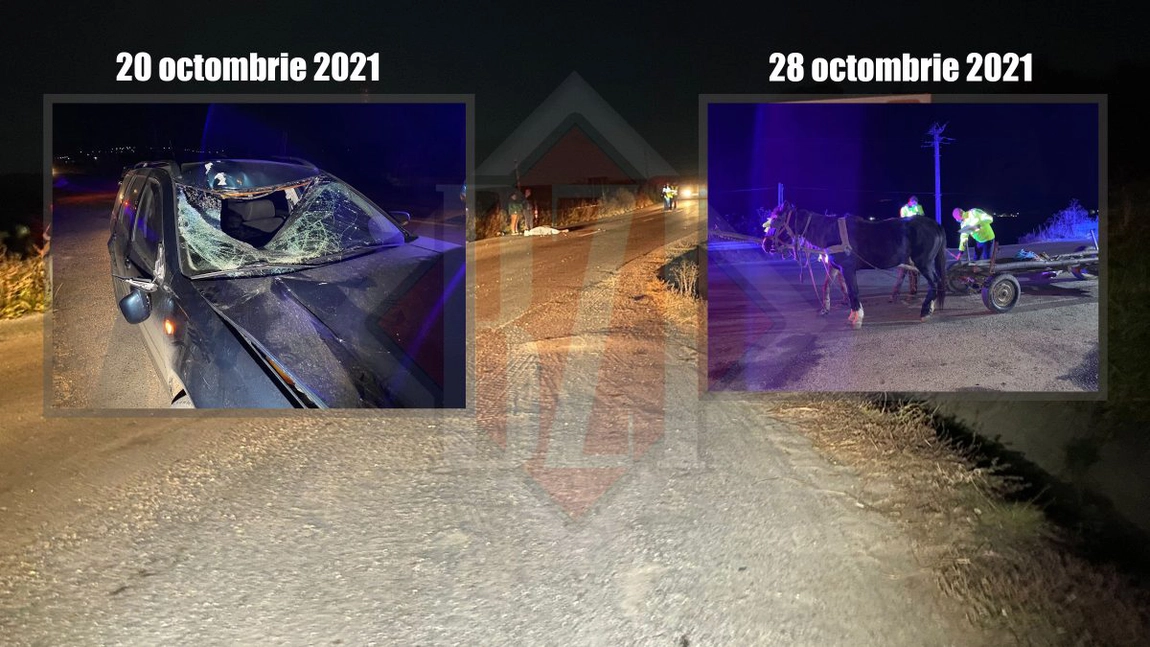 Un blestem s-a abătut asupra unei familii din Iași. La doar câteva zile după ce un bărbat și-a pierdut viața într-un accident rutier, nepotul acestuia a murit în același loc - Exclusiv, Galerie Foto, Live Video