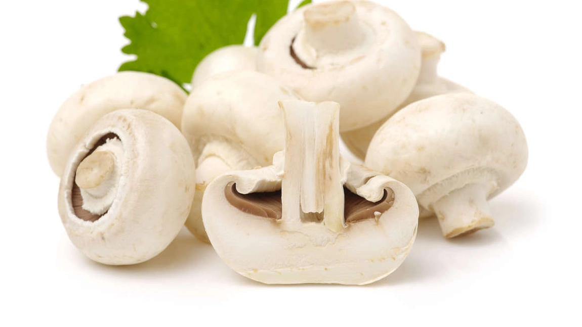 Bureți și ciuperci comestibile ce sunt extrem de apreciate. Care sunt calitățile lor nutritive 