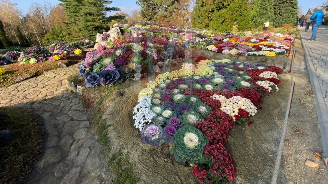 Imagini de o splendoare și naturalețe rară, la Iași! A fost deschisă expoziția 