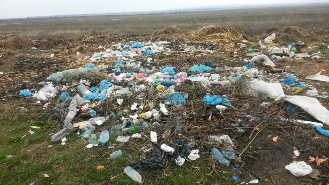 Garda de Mediu a amendat firmele din Iași cu 358.000 de lei în luna septembrie 2021. Cele mai multe sancțiuni au fost aplicate pentru gestionarea necorespunzătoare a deșeurilor