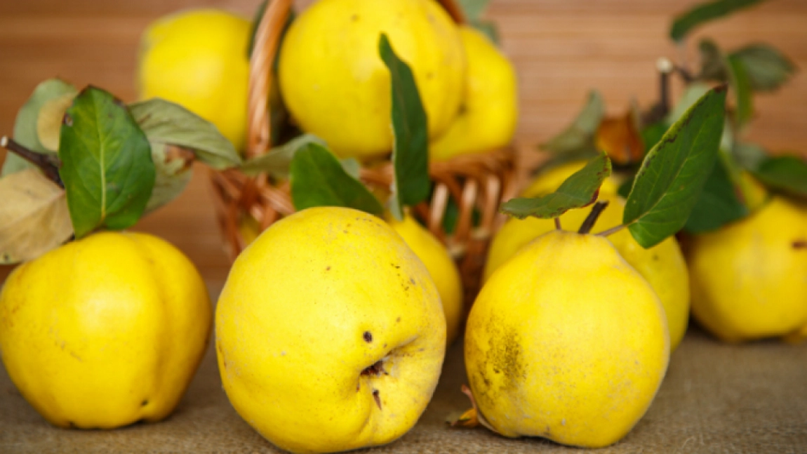 Gutuile te salvează de răceala şi sunt 