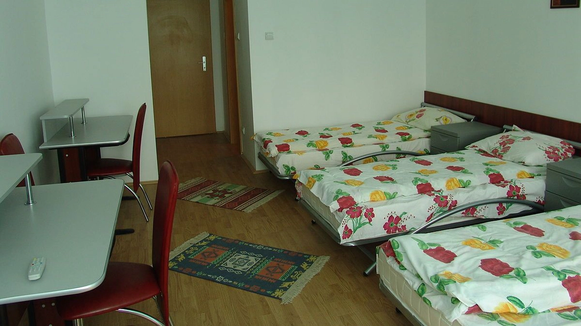 O studentă din Ploiești, cercetată după ce ar fi ucis o pisică în cămin