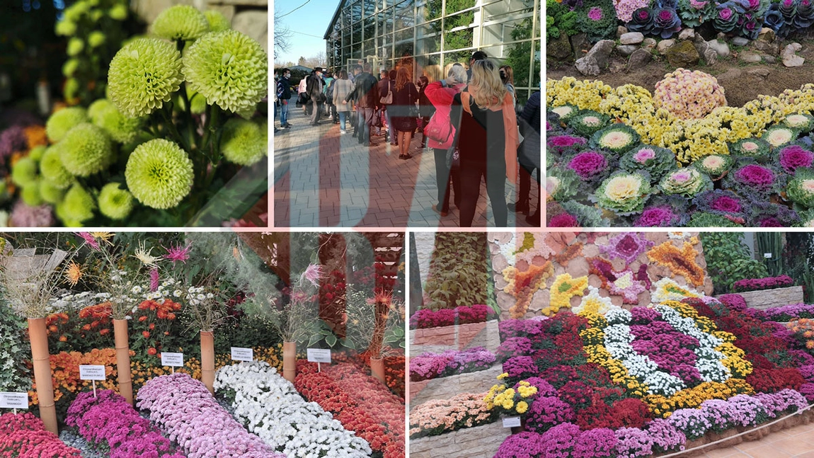 Imagini de colecție, surprinse în Grădina Botanică din Iași! În doar două săptămâni, 30.000 de oameni au vizitat unul dintre cele mai frumoase locuri din oraș! GALERIE FOTO EXCLUSIV