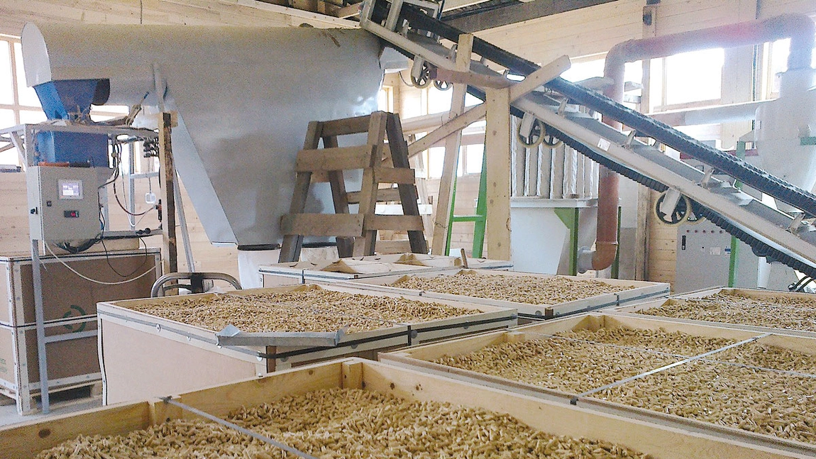 Ieșenii investesc fonduri europene în fabricile de peleți, afaceri care le aduc profituri rapid. Fiecare proiect depus din Iași la AFIR este în valoare de 200.000 de euro