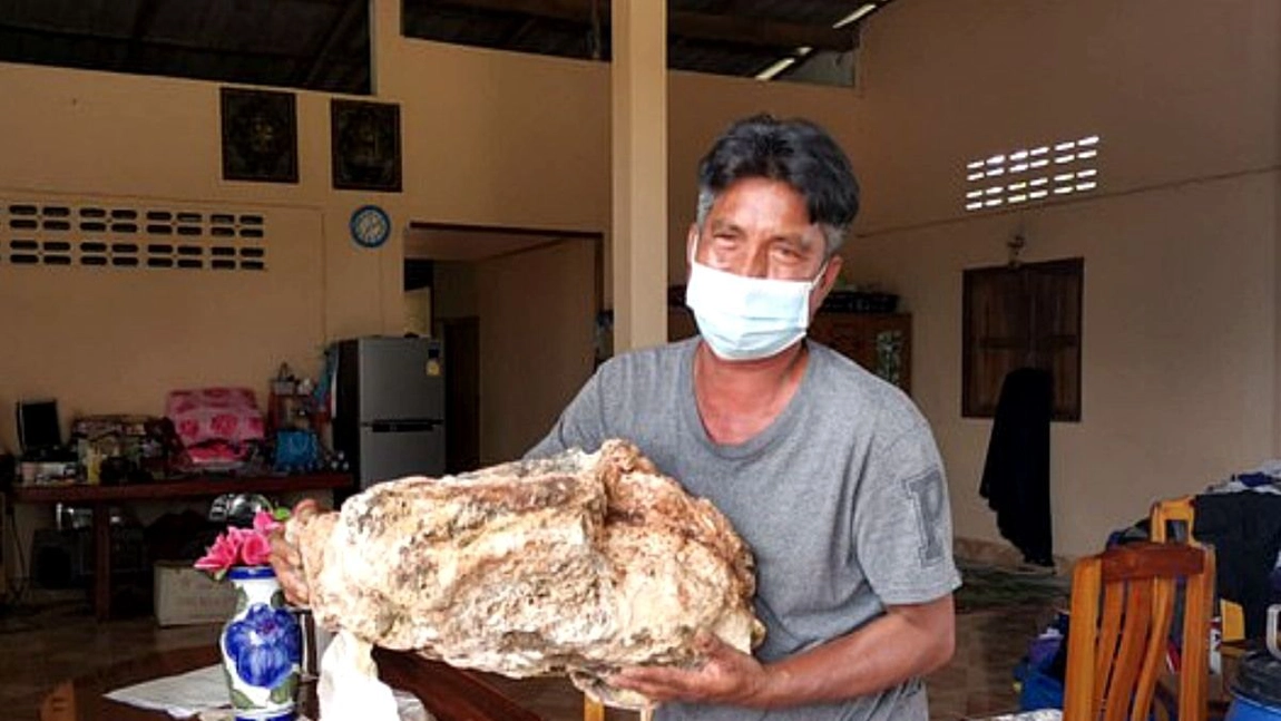 Un pescar a ajuns milionar în lire după ce a descoperit 30 de kilograme de vomă de balenă! Iată cât costă un kilogram și la ce este folosit - FOTO, VIDEO