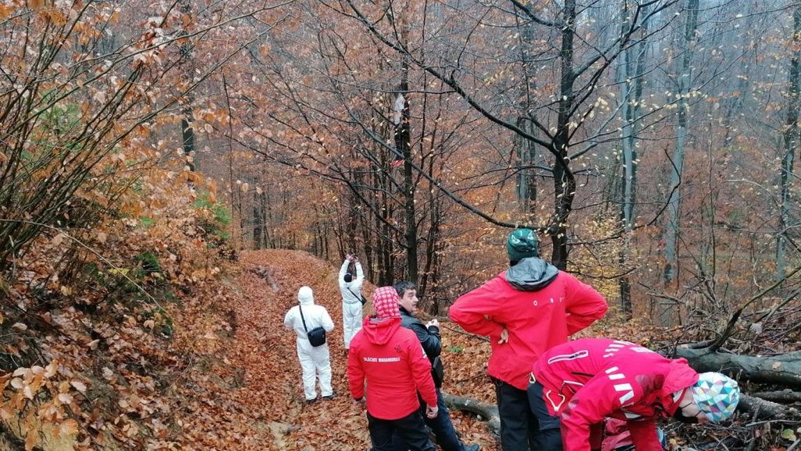 Descoperire șocantă în pădure, pe Valea Usturoiului, județul Maramureș