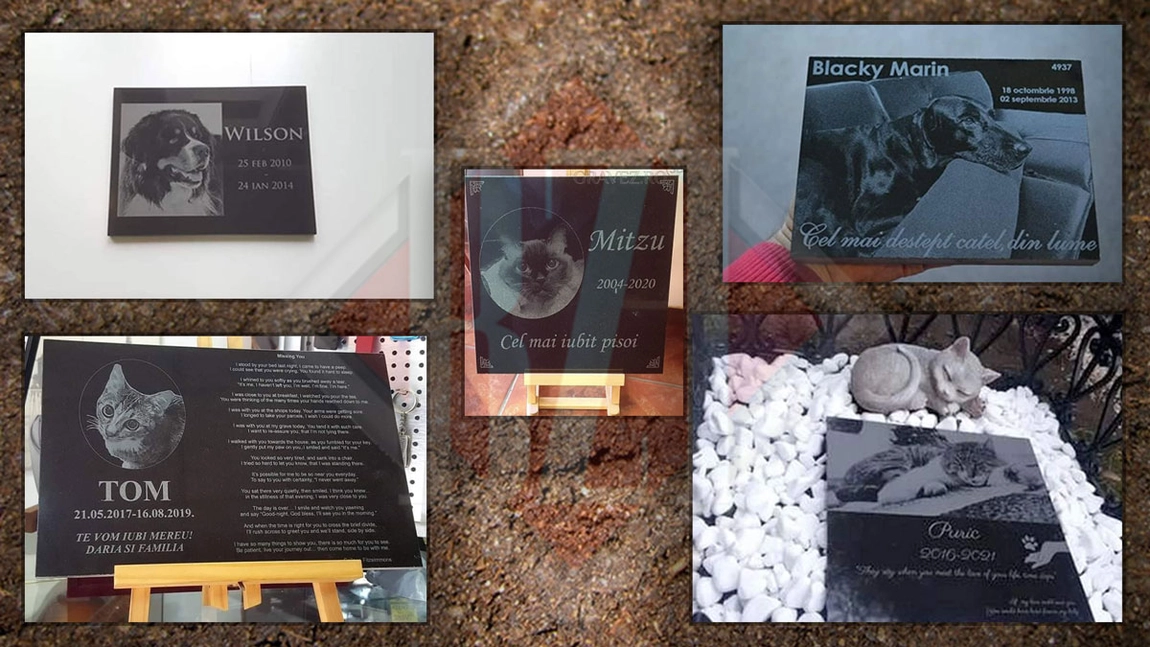 Moftul milionarilor din Iași! Crede cineva că acest mormânt este real? Pentru pisica mult iubită, o familie a comandat un monument funerar sofisticat și nu s-a uitat la bani - FOTO