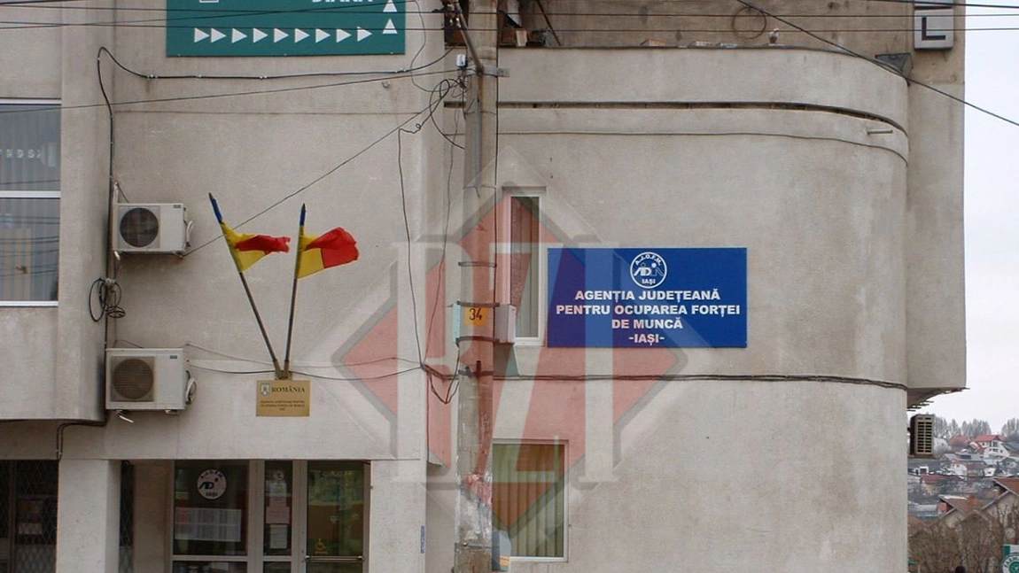 Numărul de locuri de muncă vacante din Iași, disponibile în această perioadă, a fost publicat pe site-ul AJOFM. În continuare se caută curieri și specialiști în domeniul construcțiilor
